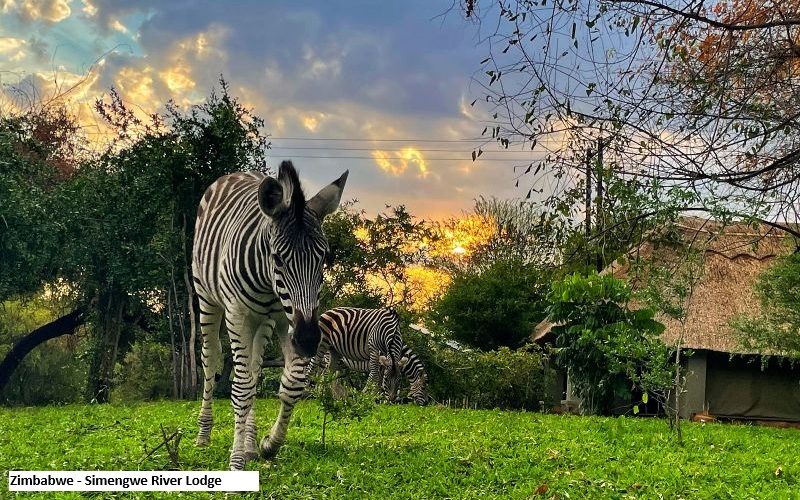 Jenman - Grand Zambezi Tour  ( Livingstone - Victoria Falls)